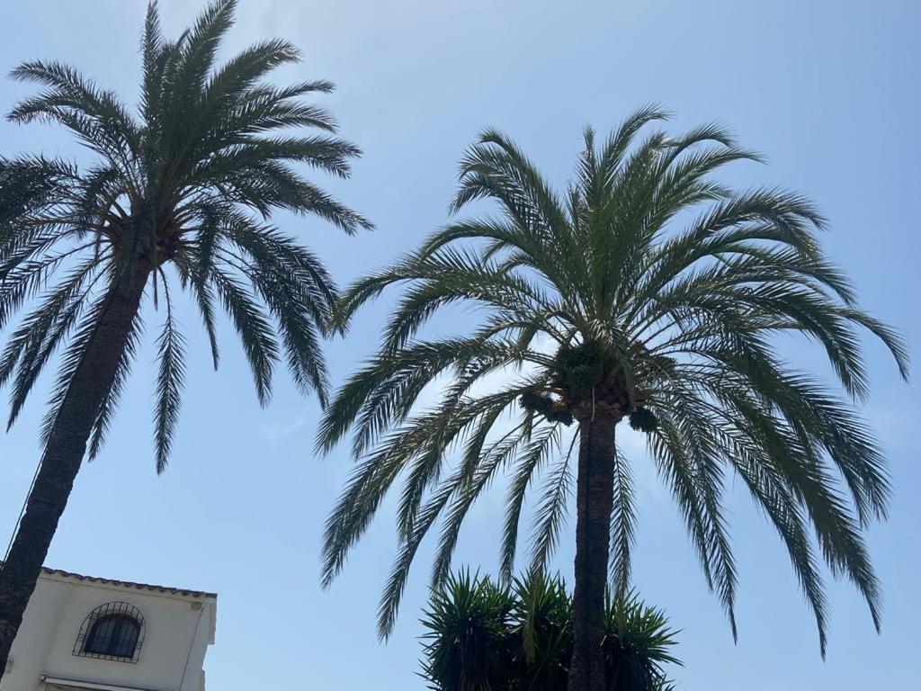Apartamento Urb Oasis Park II Denia, Las Marinas Exteriör bild